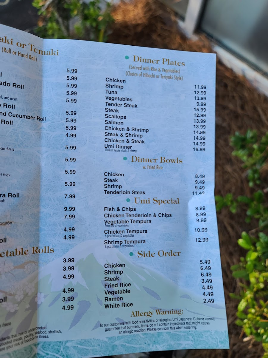 Umi Japanese Restaurant Menu-8