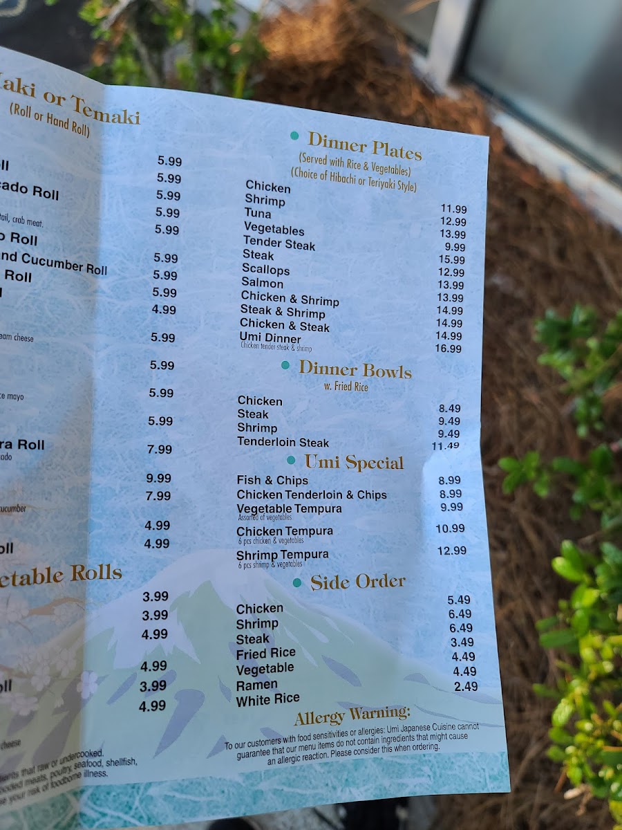 Umi Japanese Restaurant Menu-9